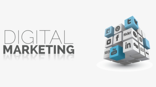 Digital Marketing Company In Noida